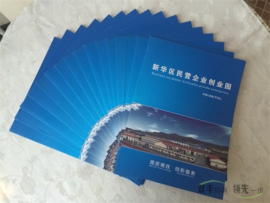 創業園宣傳畫冊印刷